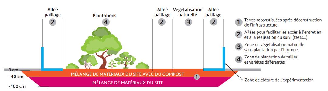 schéma terres fertiles flux libre