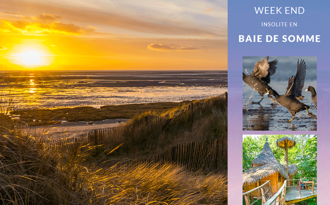 Visuel_WE A GAGNER_Baie de Somme