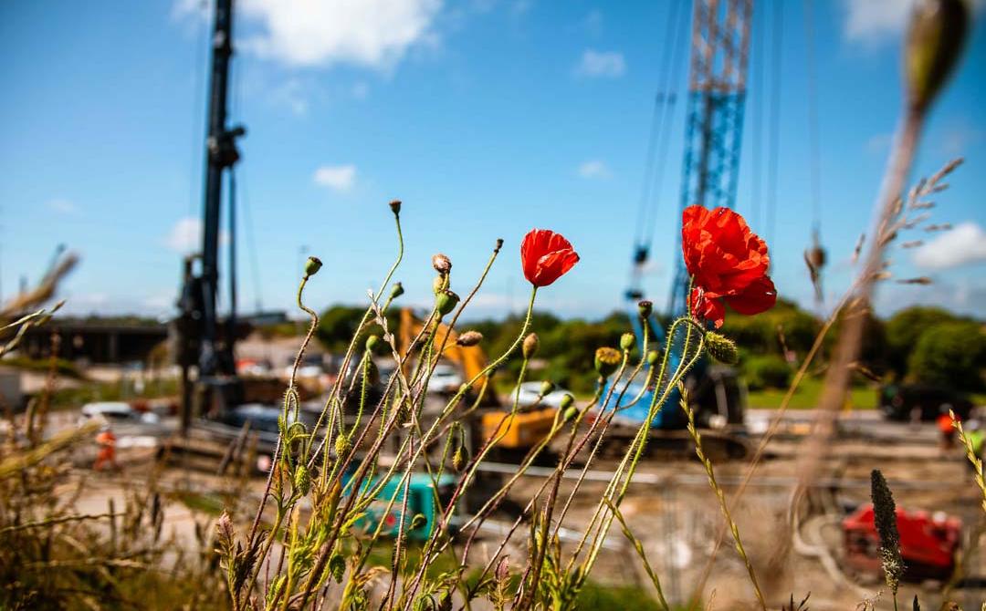 Chantier Autoroute A16 / RN42