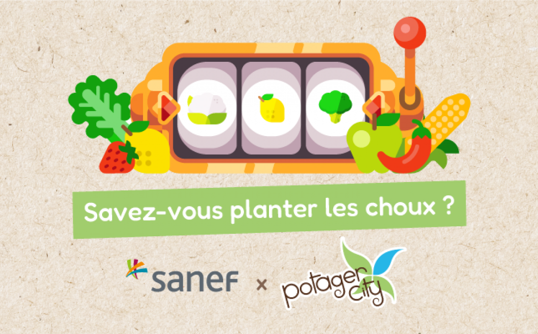 Opération Potager City avec Sanef