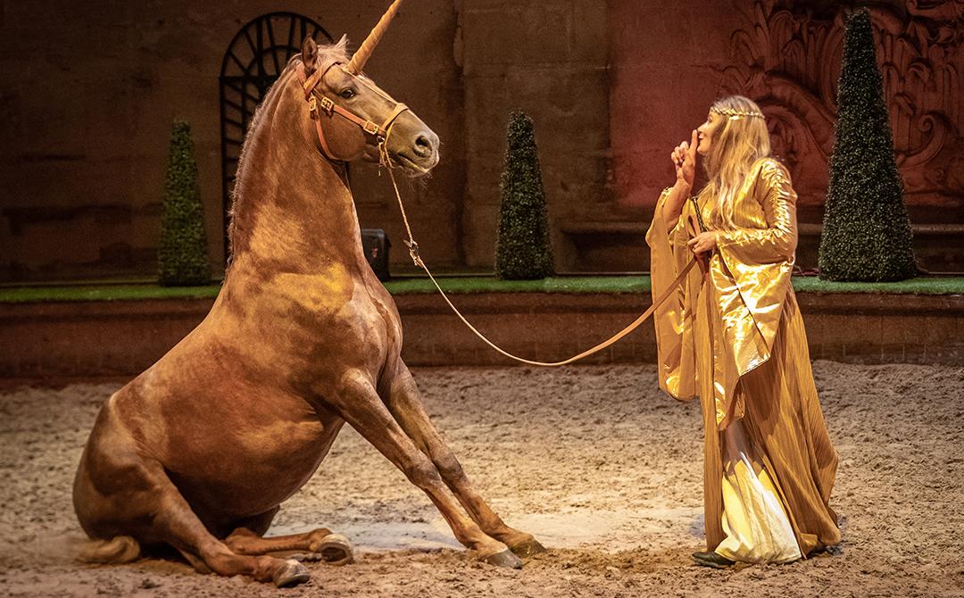 Spectacle équestre "Il était une fois les Grandes Ecuries" à Chantilly